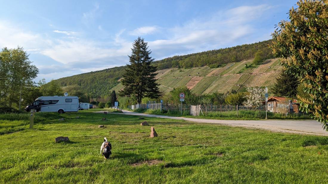 Main.Berg.Blick — Photo 5