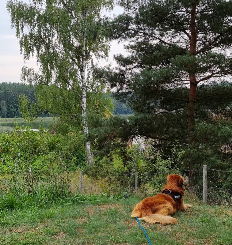 Camping Ferienhofes Altglobsow — Photo 3