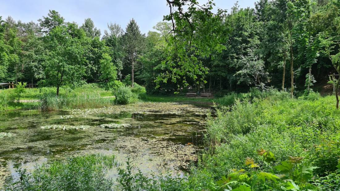 Stellplatz Wallsbüll