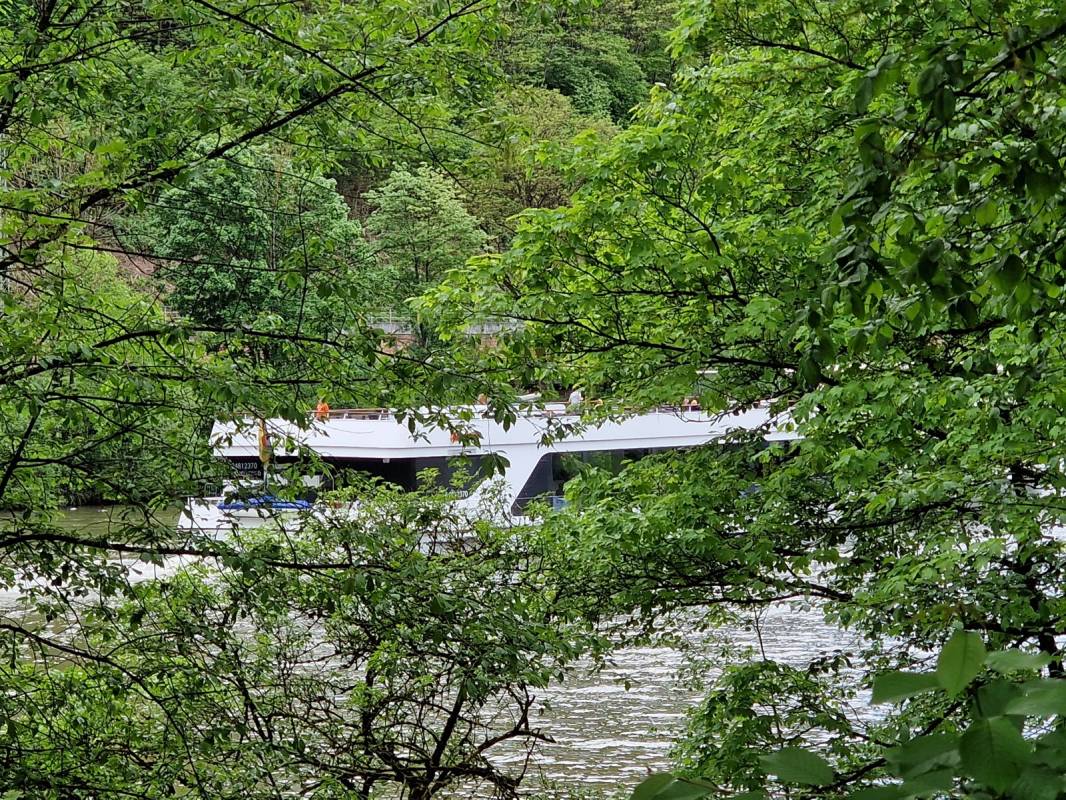 Camping Haide Heidelberg — Photo 4