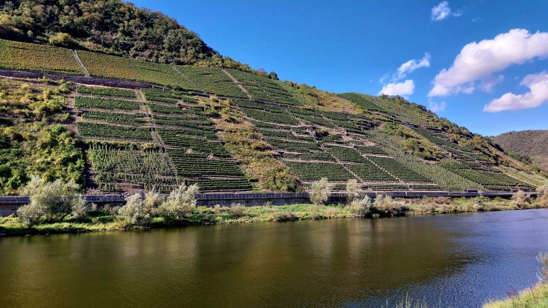 Campingplatz Bruttig-Fankel