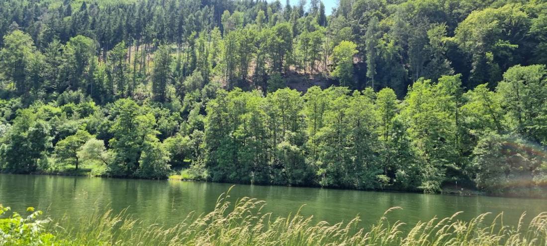 Festplatz Dorfprozelten