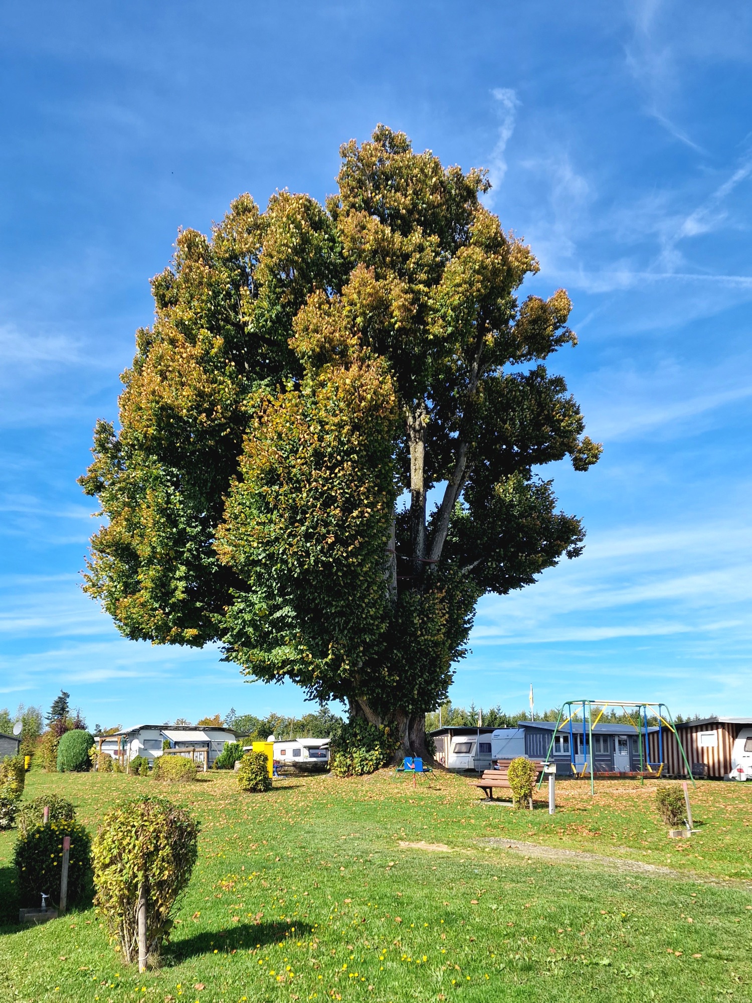 Campingplatz Schurrenhof