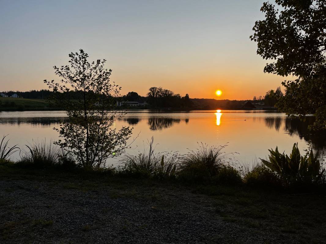 Campingplatz Hammerschmiedsee