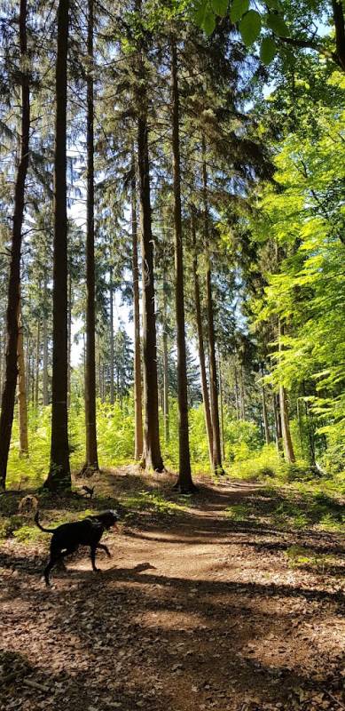 Parkplatz Lieth Halle — Photo 2