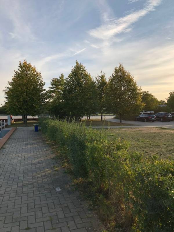 Campingplatz Peene Marina — Photo 3