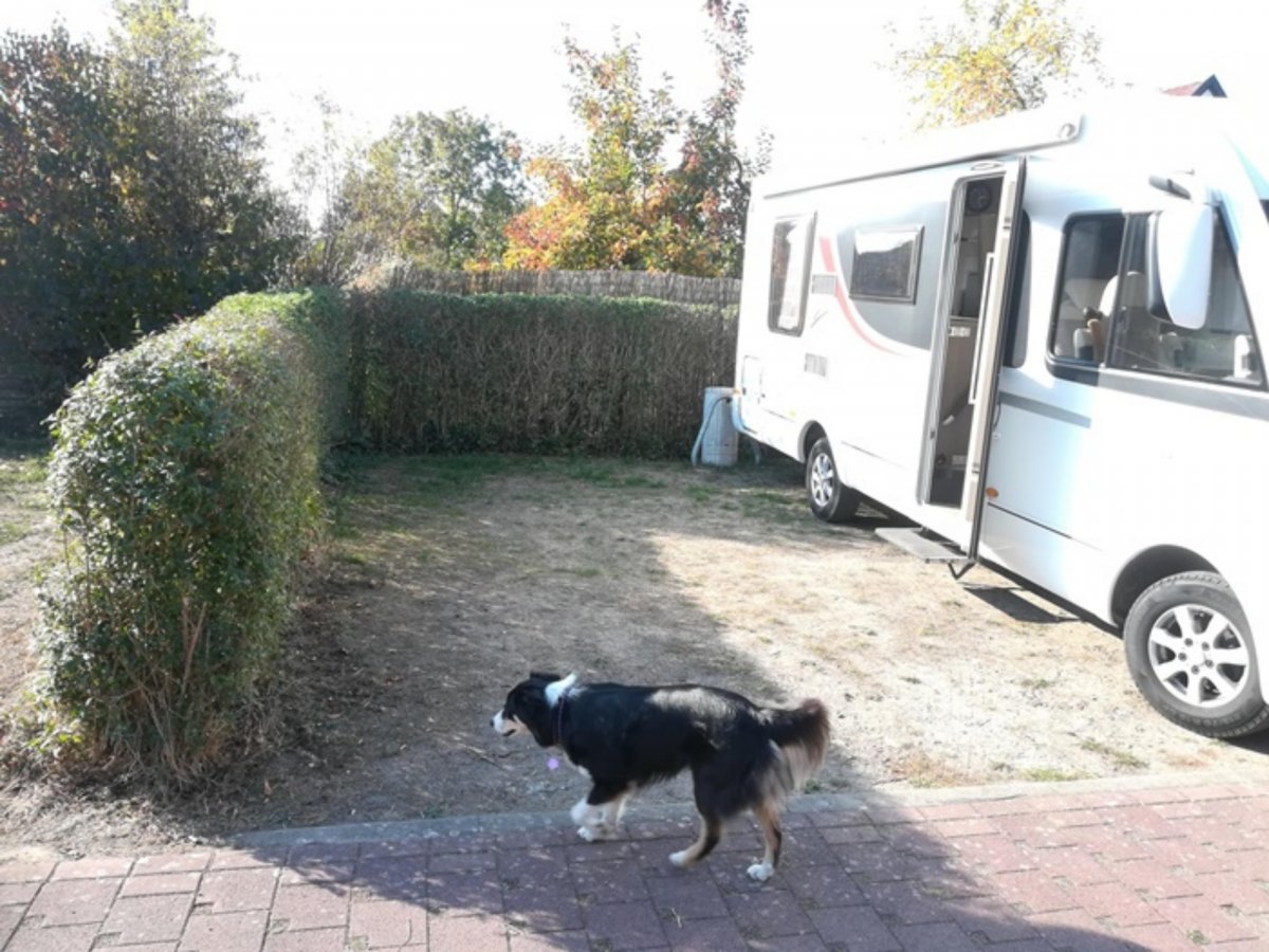 Stellplatz am Freibad Salzwedel-Böddenstedt — Photo 6