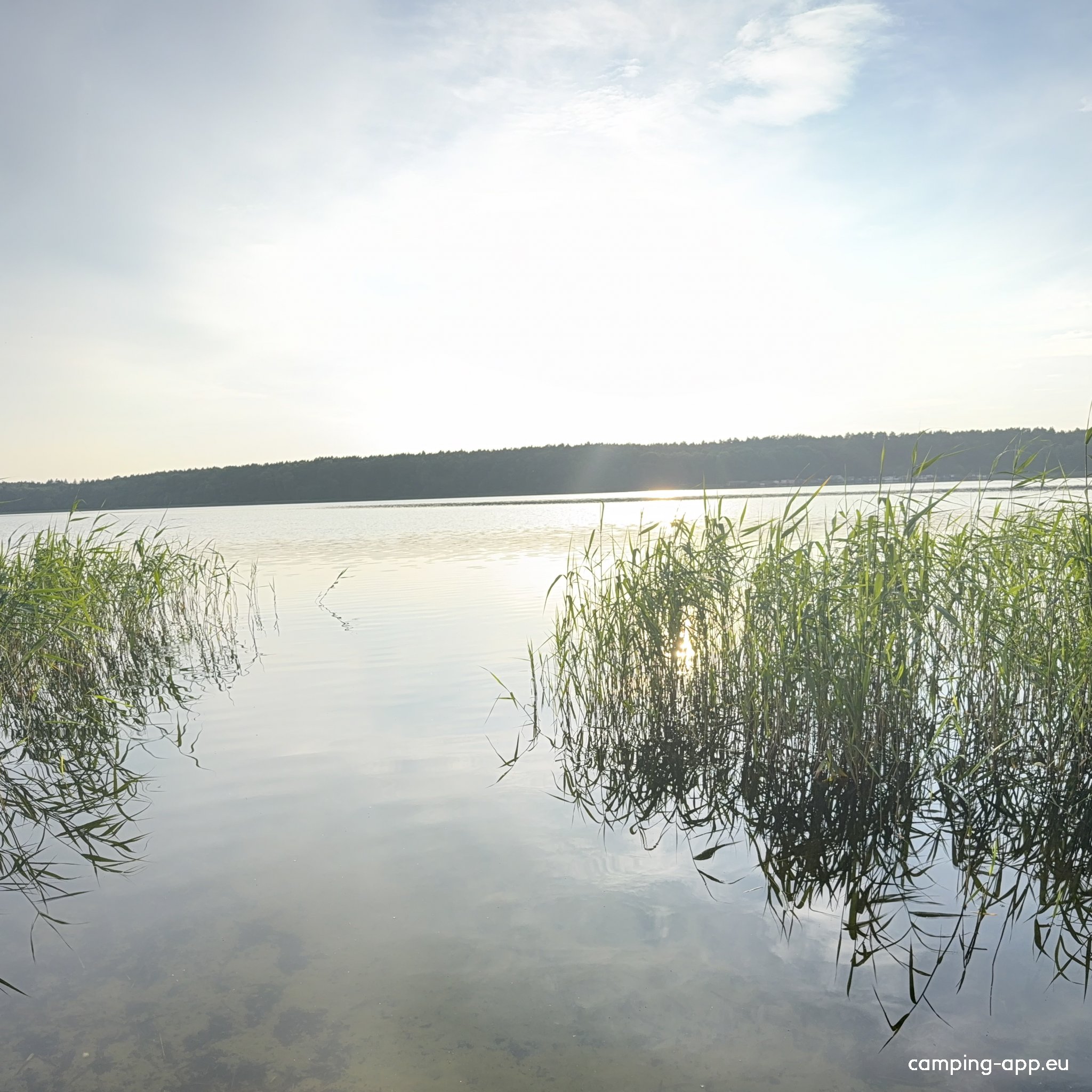 FKK (naturist) Camping am Rätzsee — Photo 5