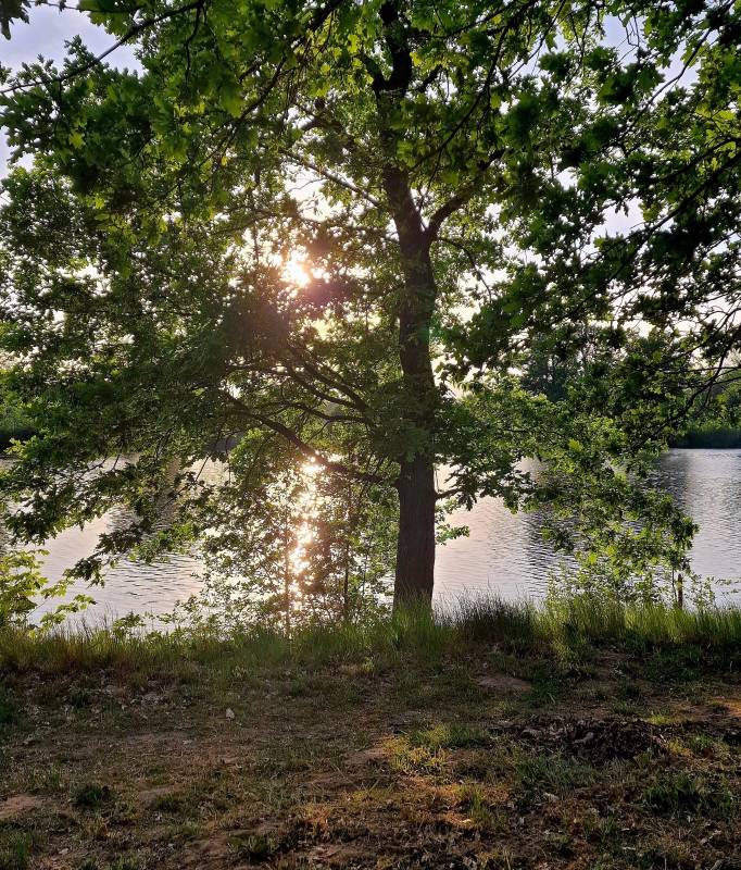 Campingplatz Am Kamernschen See — Photo 3