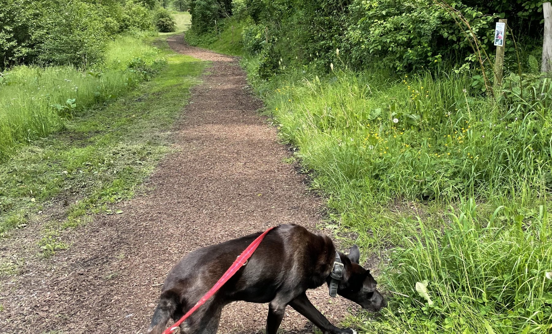 Stellplatz Poppenhausen — Photo 6