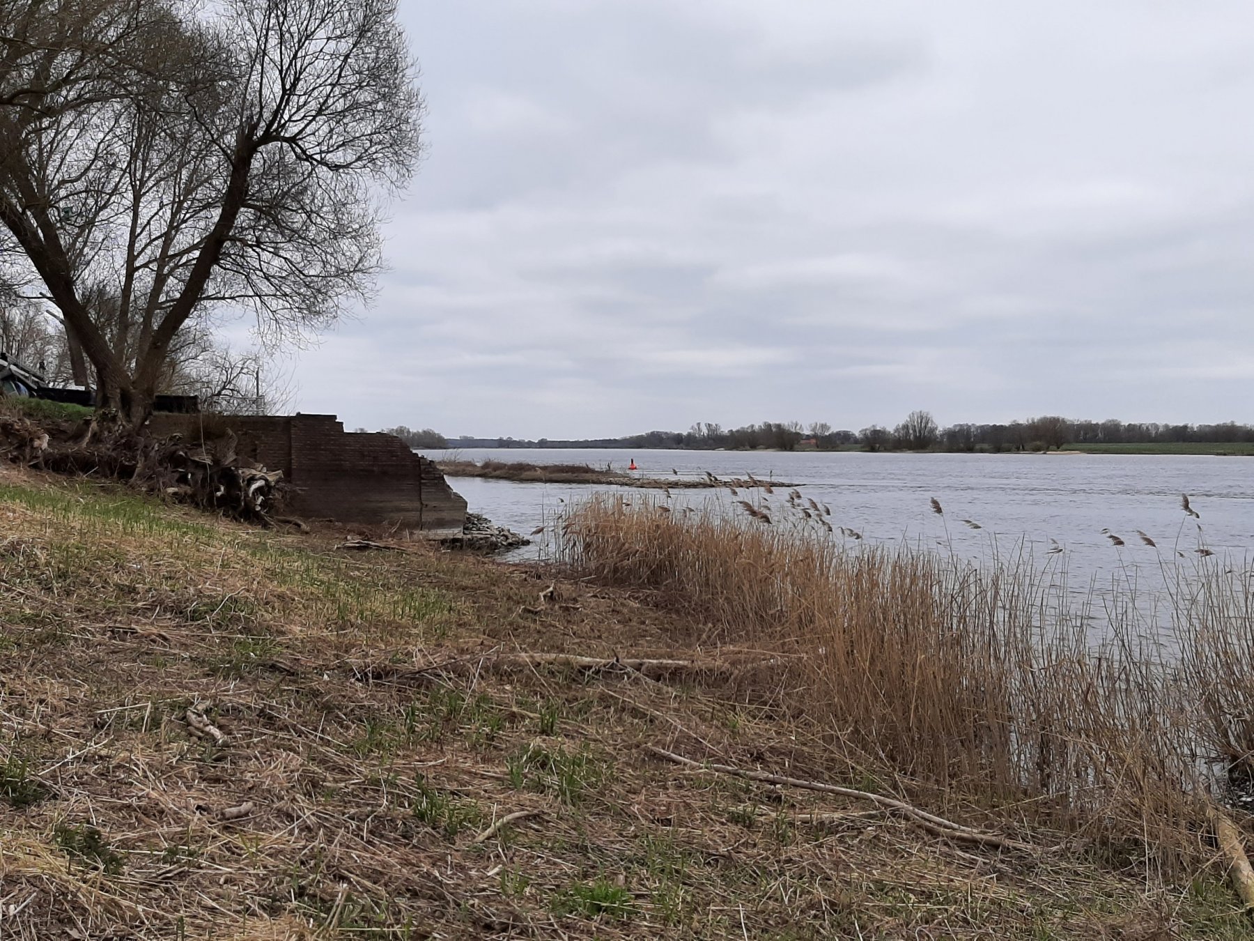 Wohnmobilparkplatz Dorfrepublik Rüterberg — Photo 3