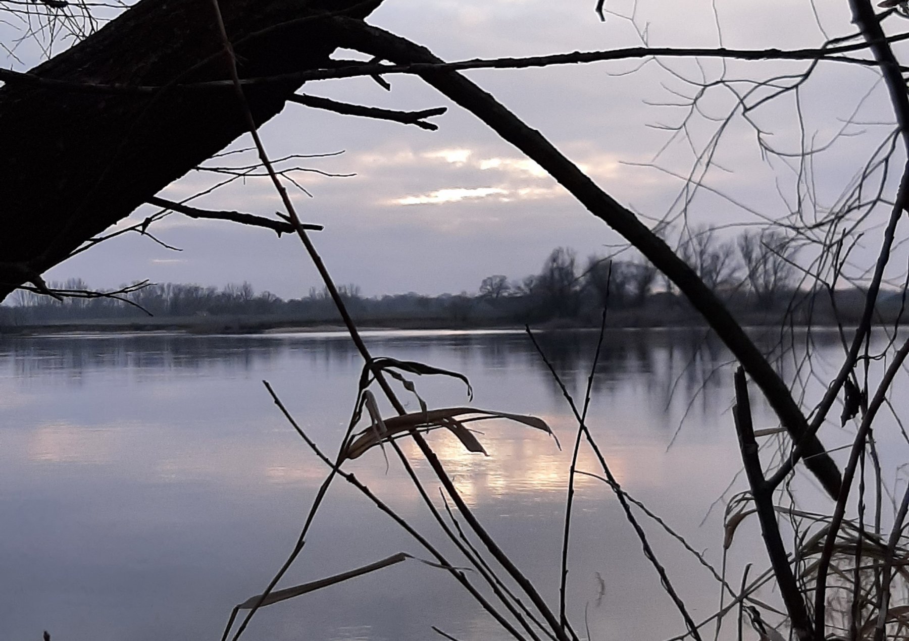 Wohnmobilparkplatz Dorfrepublik Rüterberg — Photo 4