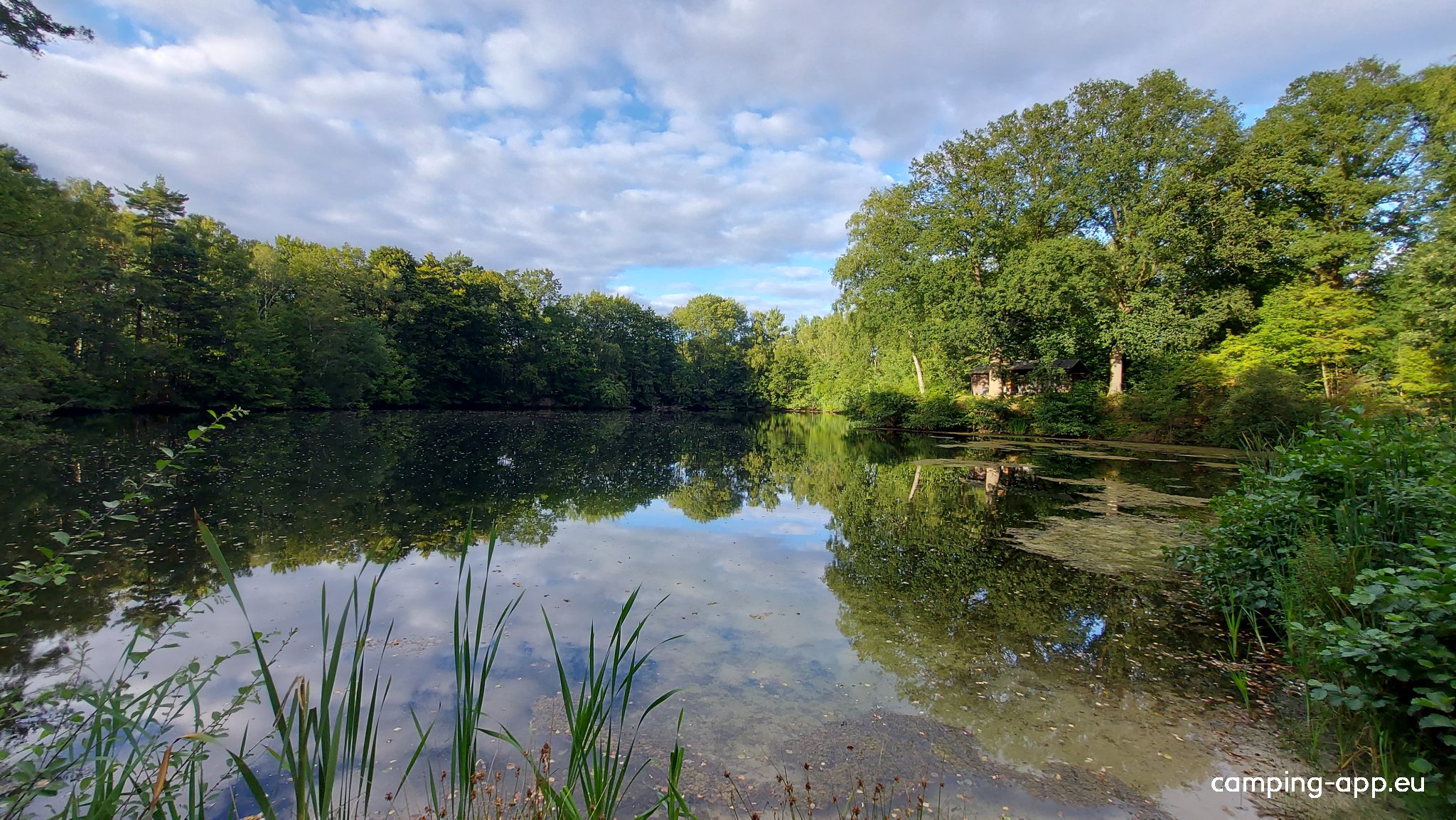 Campingpark Stürberg — Photo 6