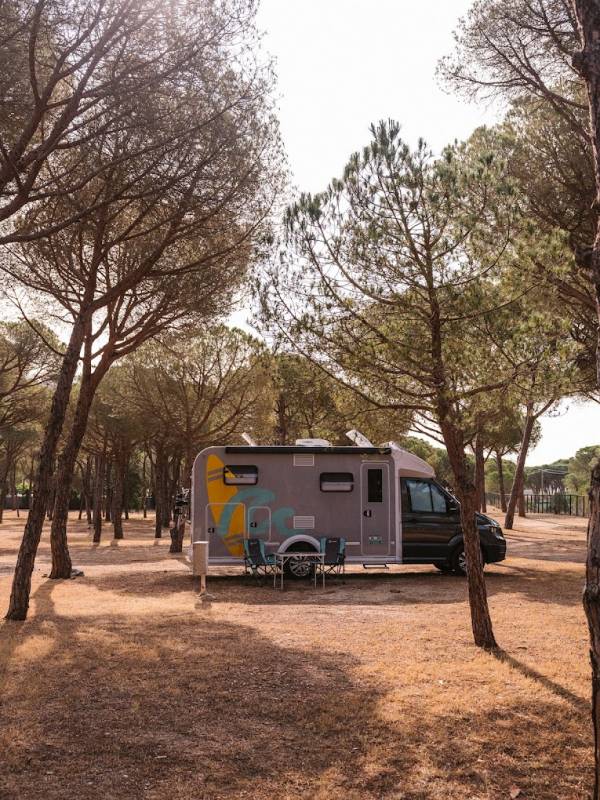 Reitstall und Camping Birkenhof — Photo 3