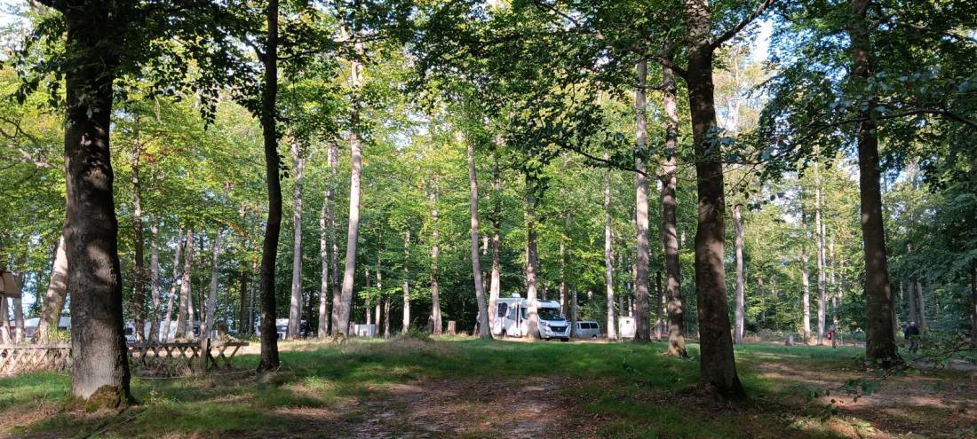 Campingplatz Warenthin — Photo 3