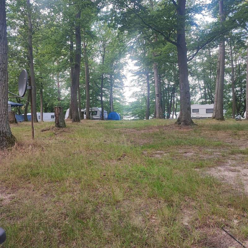 Campingplatz Warenthin — Photo 6