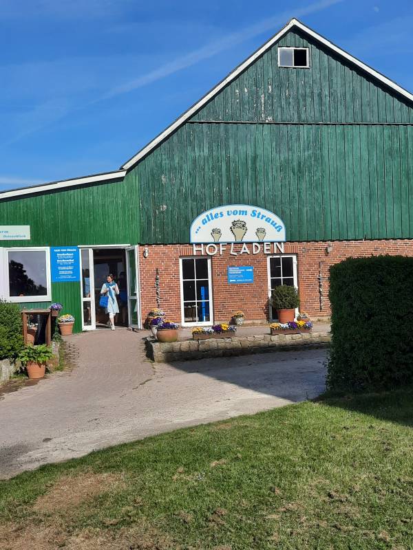 Camping Straußenfarm