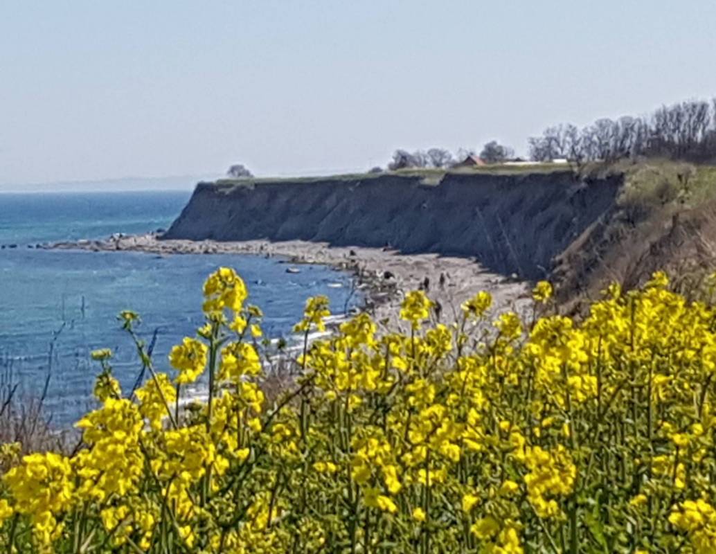 Camping Straußenfarm — Photo 5