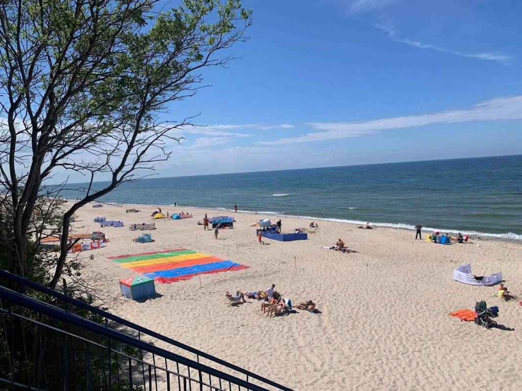 Pole namiotowe u Zenona