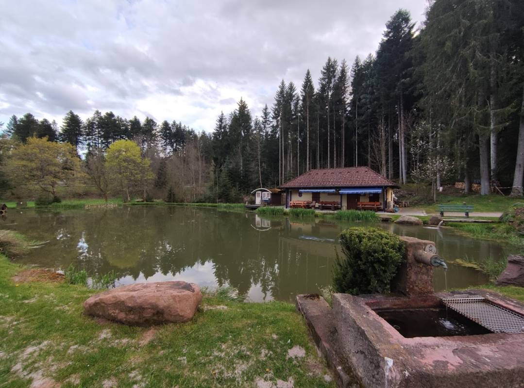 Stellplatz am Harzhütten-Weiher