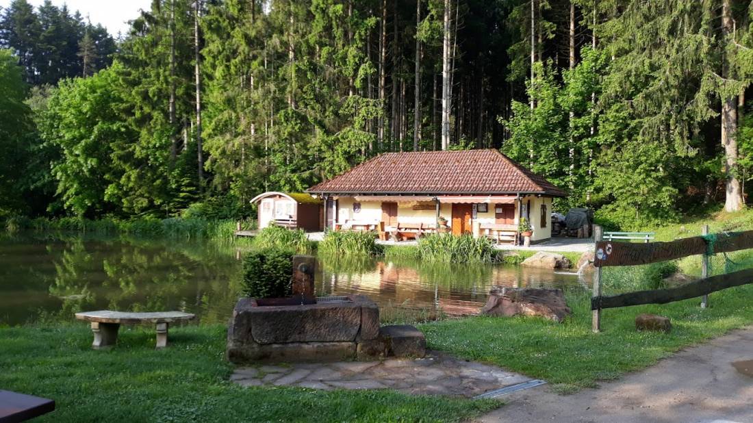 Stellplatz am Harzhütten-Weiher — Photo 2