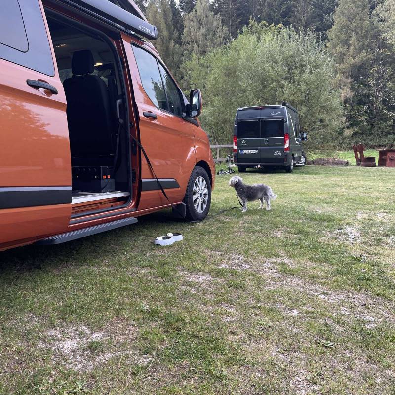 Stellplatz am Harzhütten-Weiher — Photo 5