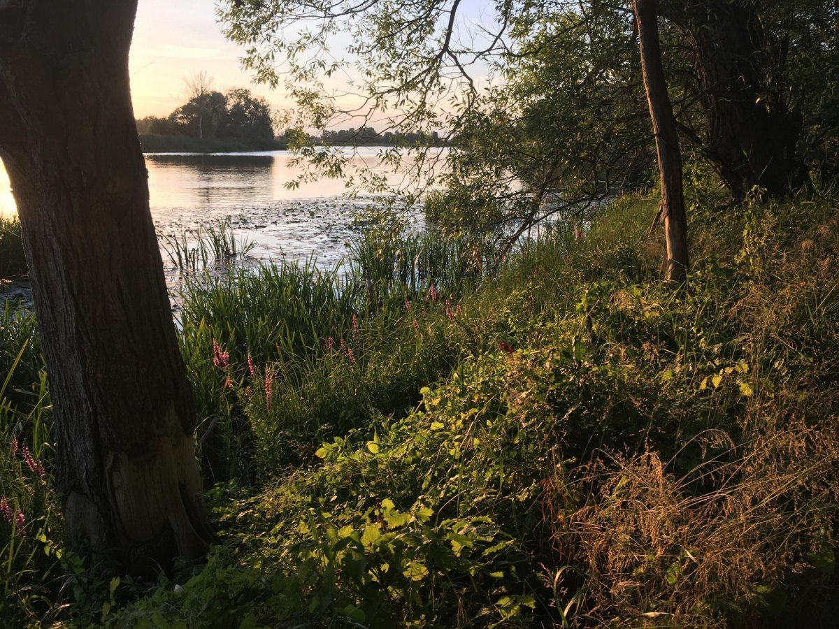 Campinginsel Havelberg