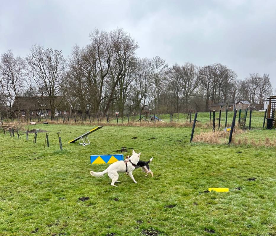 Hoepkens Hof und Campingplatz — Photo 2