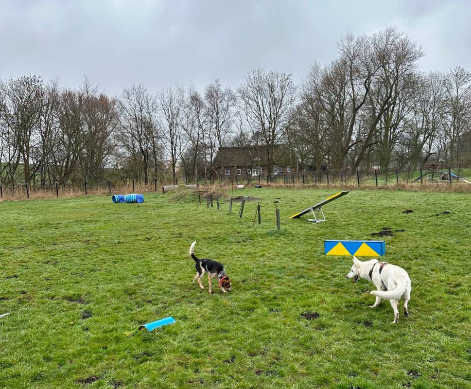 Hoepkens Hof und Campingplatz