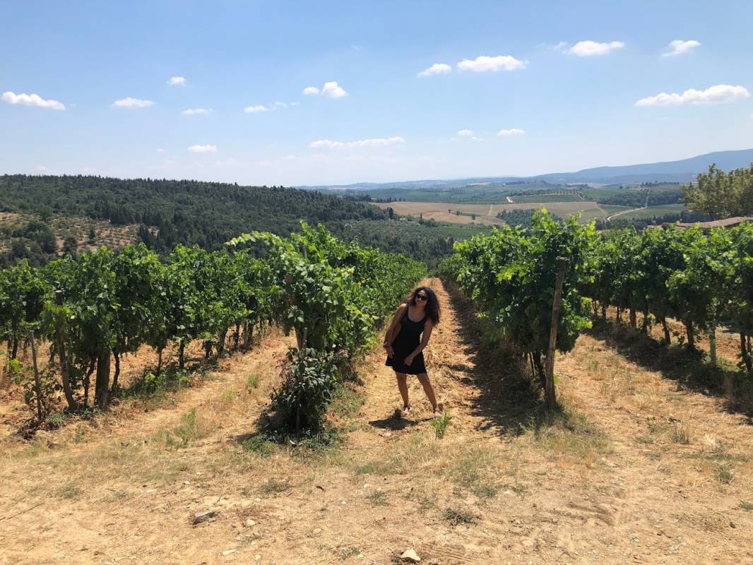 Campingverein Havelblick e.V. — Photo 3