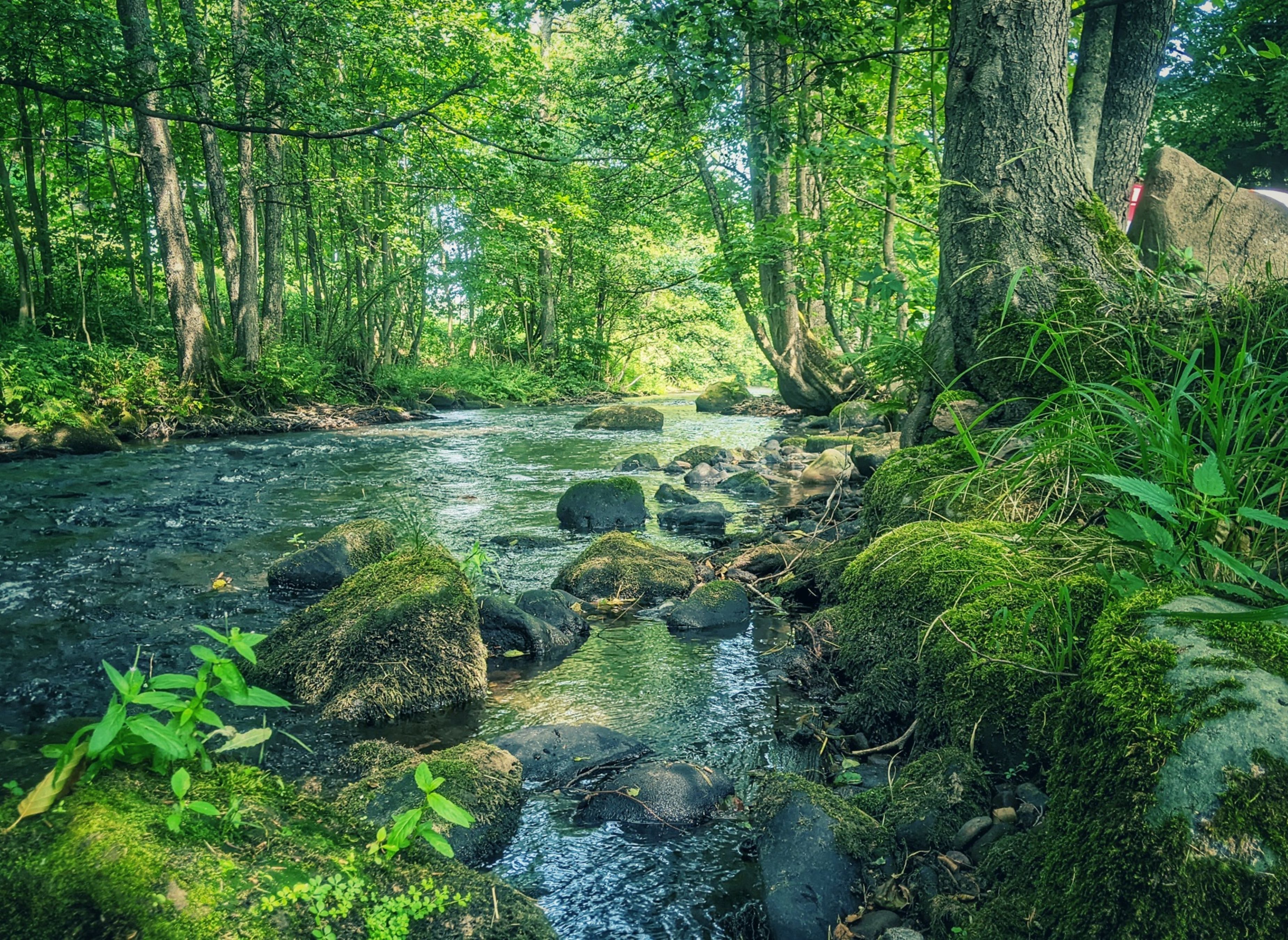 Camping Quellgrund — Photo 4