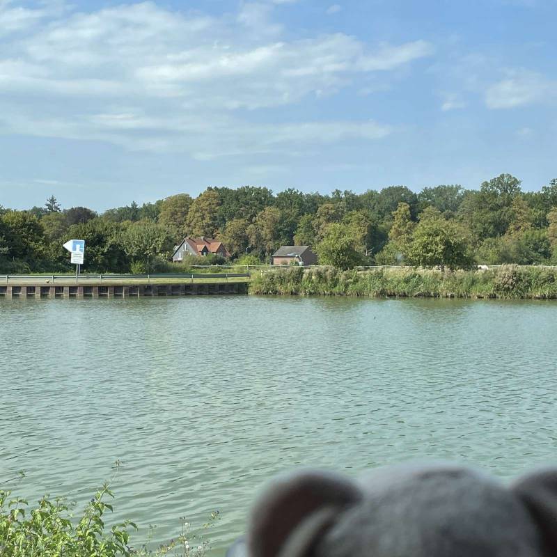 Stellplatz Am Mittellandkanal — Photo 6