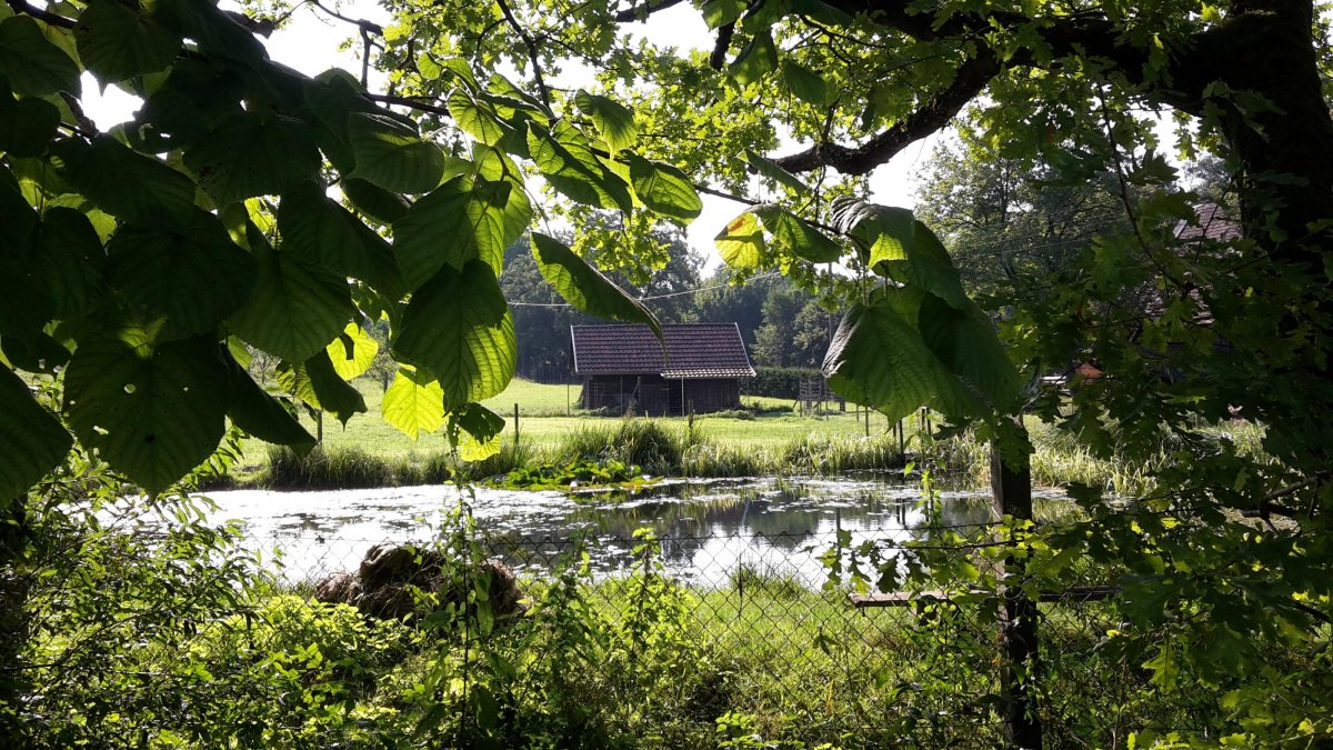 Stellplatz Stadtlengsfeld — Photo 2