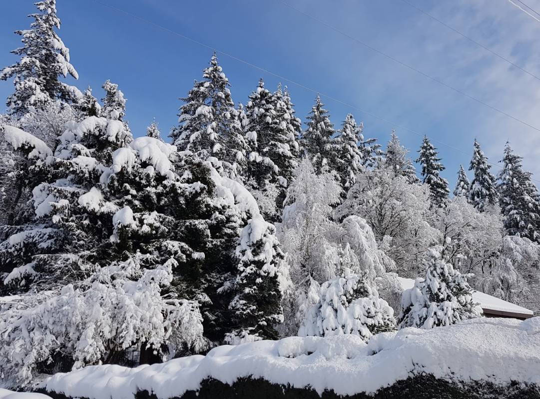 Schlüchttal Naturcamping