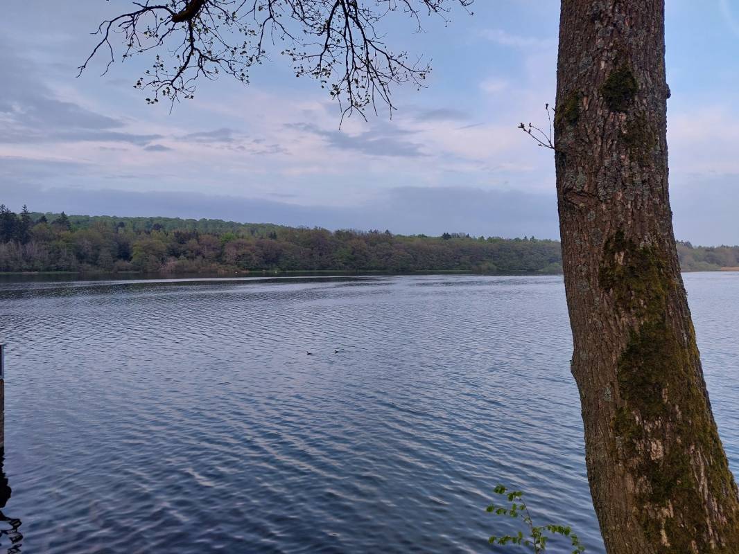 Campingpark Haus am See — Photo 6