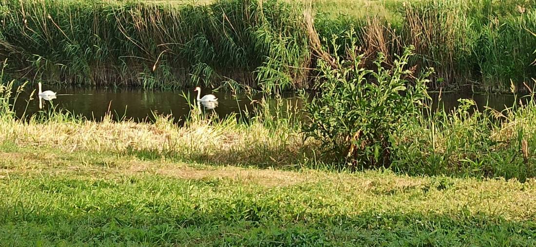 An der Werra in Heldra