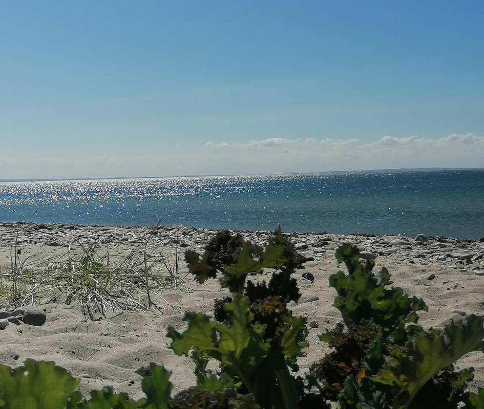 Camping Flügger Strand — Photo 6