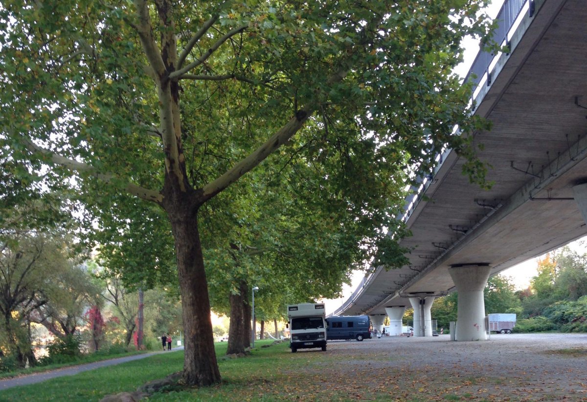 Stellplatz Wertheim — Photo 6