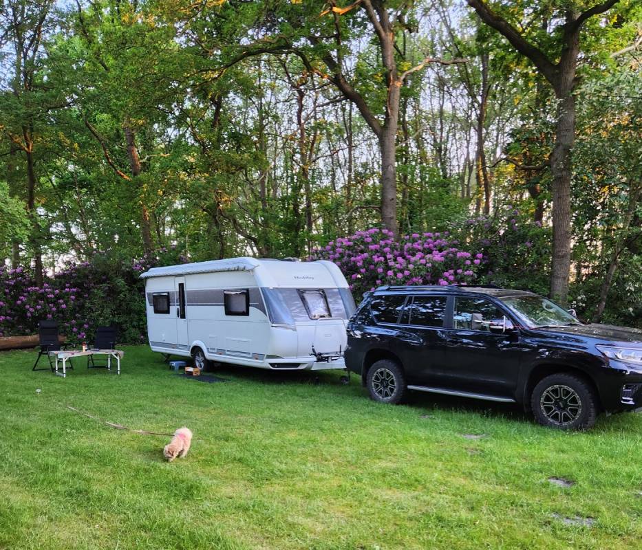 IQBAL Wohnmobilstell- & Campingplatz mit Flair — Photo 4