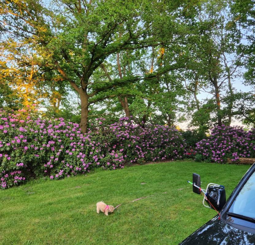 IQBAL Wohnmobilstell- & Campingplatz mit Flair — Photo 3