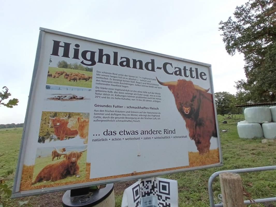 IQBAL Wohnmobilstell- & Campingplatz mit Flair — Photo 6