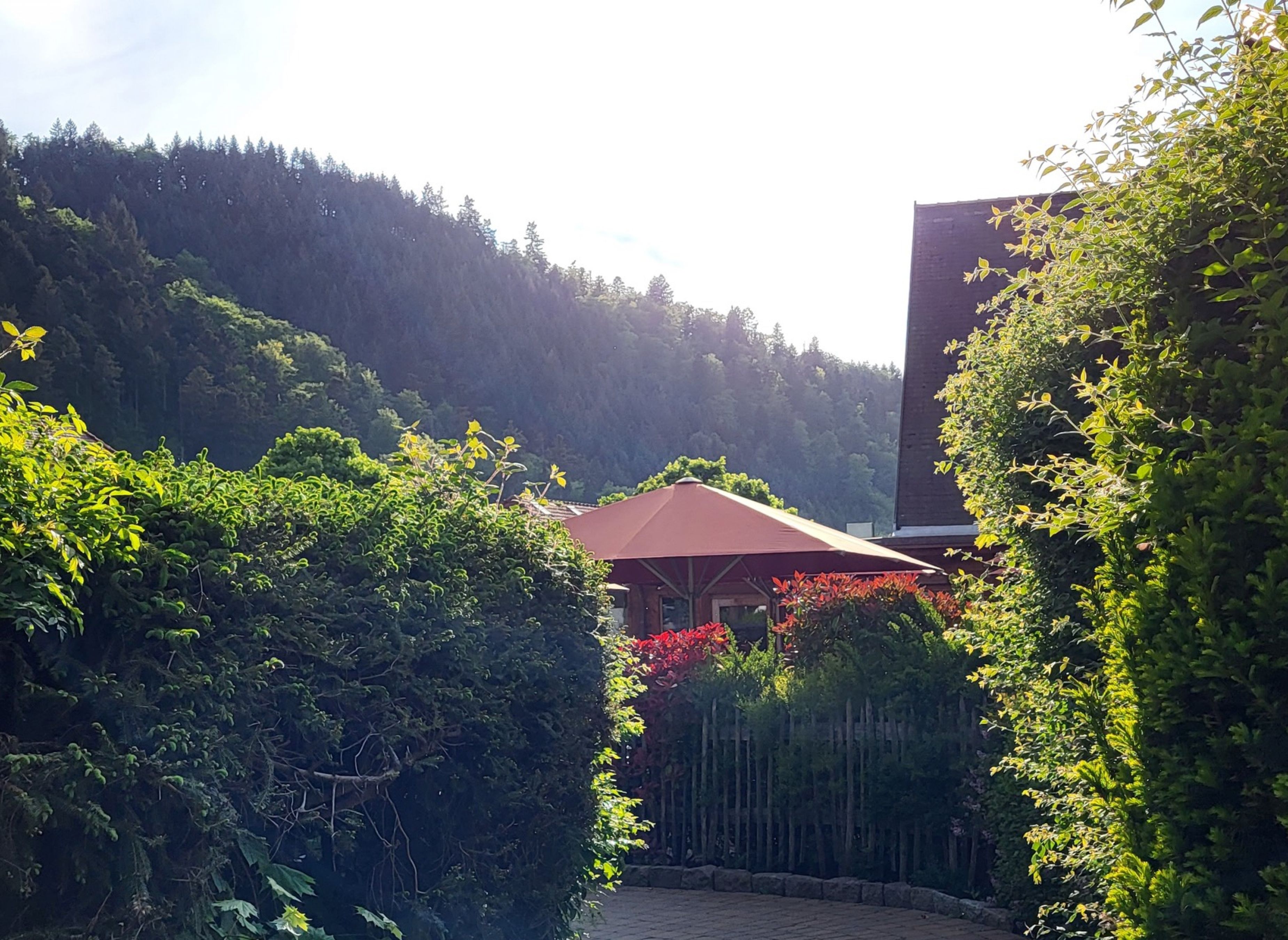 Campingplatz Untermünstertal — Photo 2