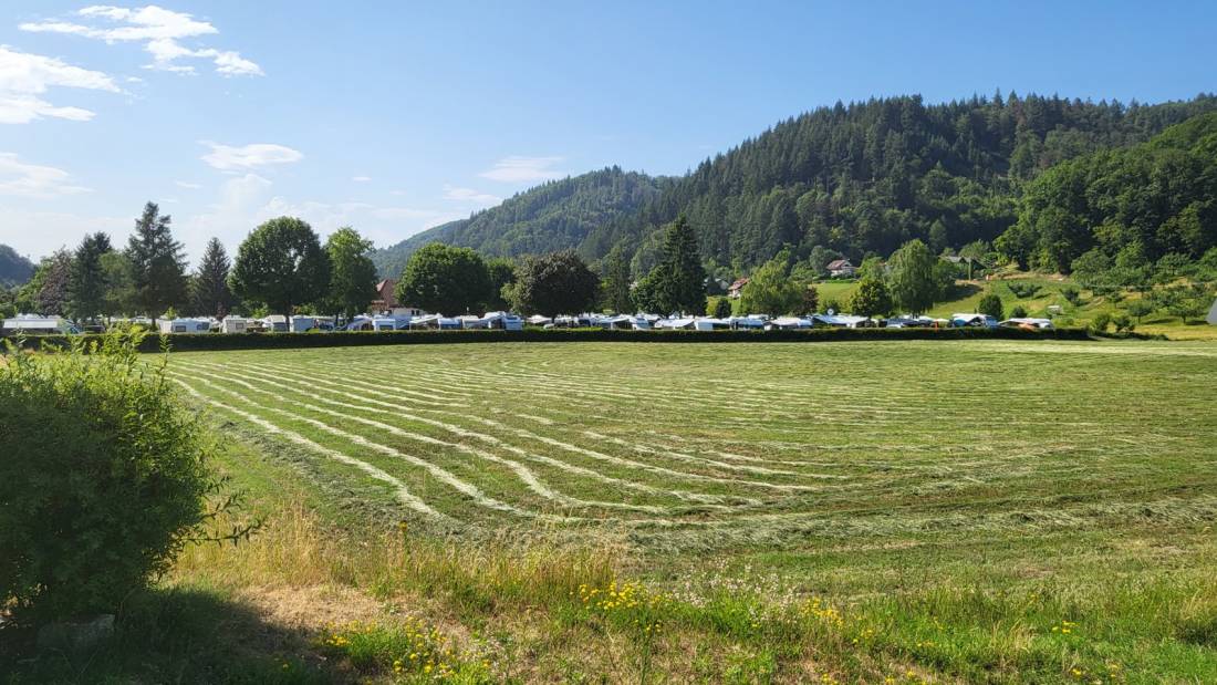 Campingplatz Untermünstertal — Photo 5