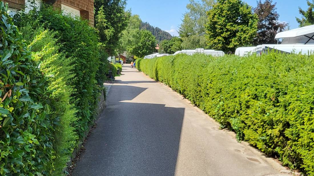 Campingplatz Untermünstertal — Photo 4