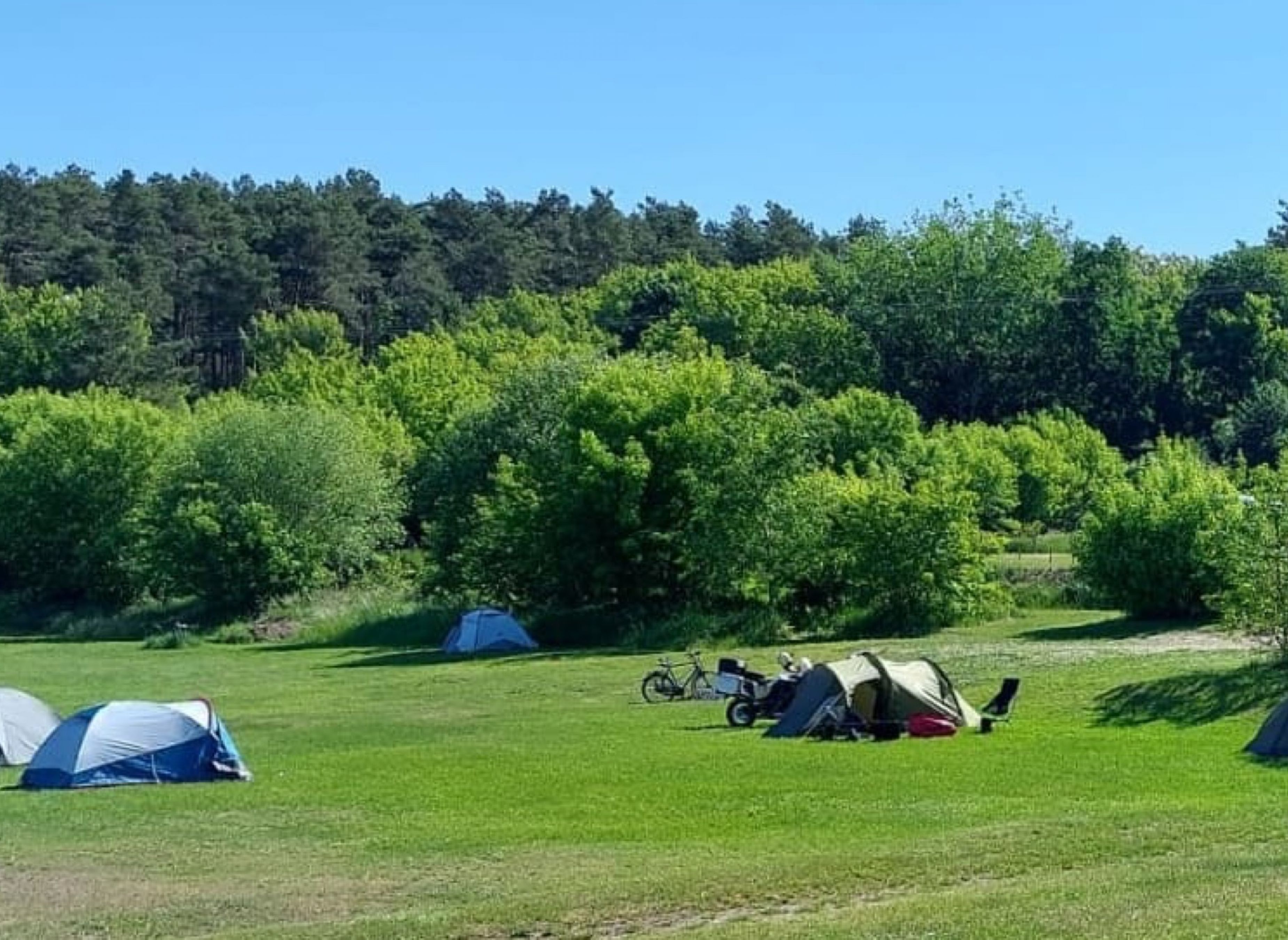 Campinghof am Grünen Baum — Photo 3