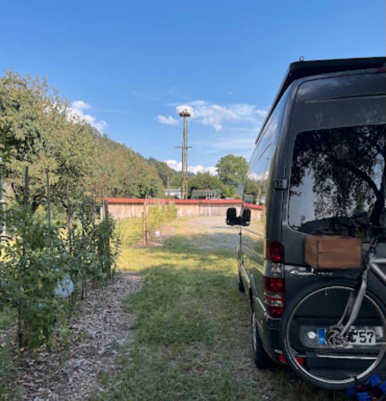 Erdbeerhof Schmieder — Photo 2