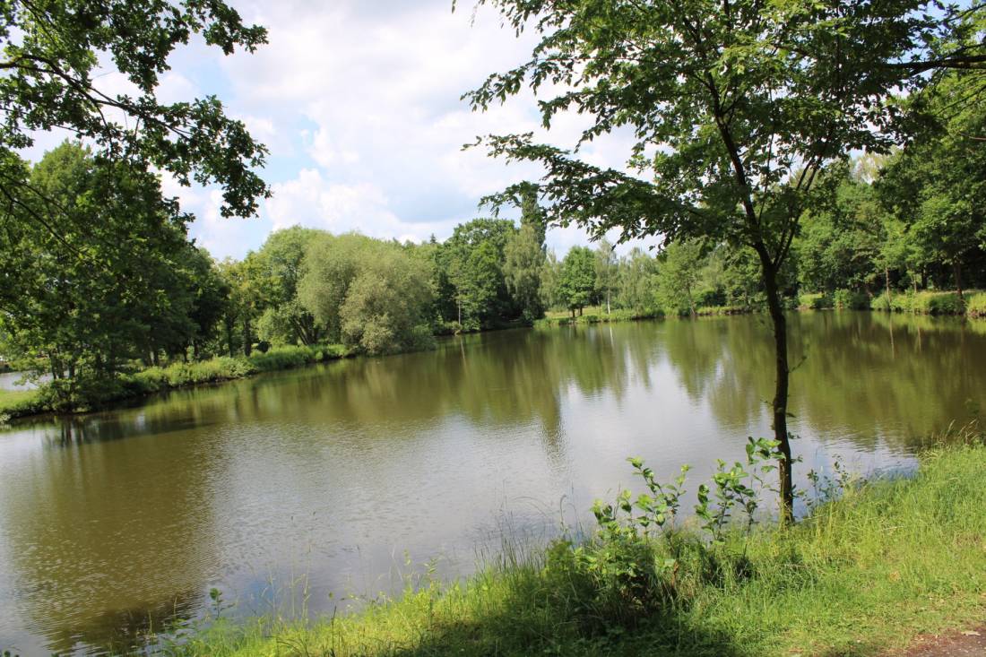 Campingplatz Grönegau-Park Ludwigsee