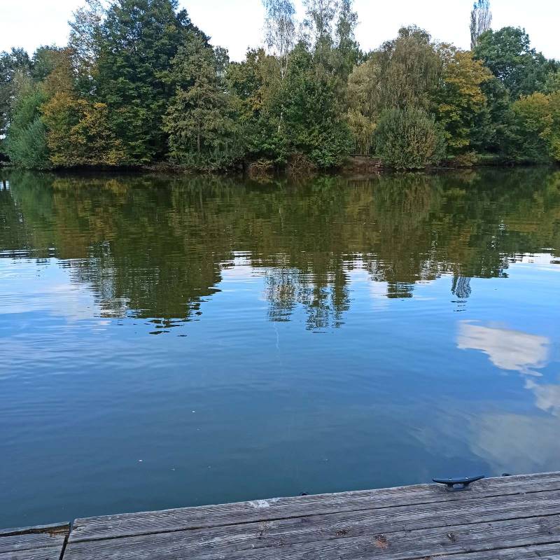 Campingplatz Grönegau-Park Ludwigsee — Photo 6