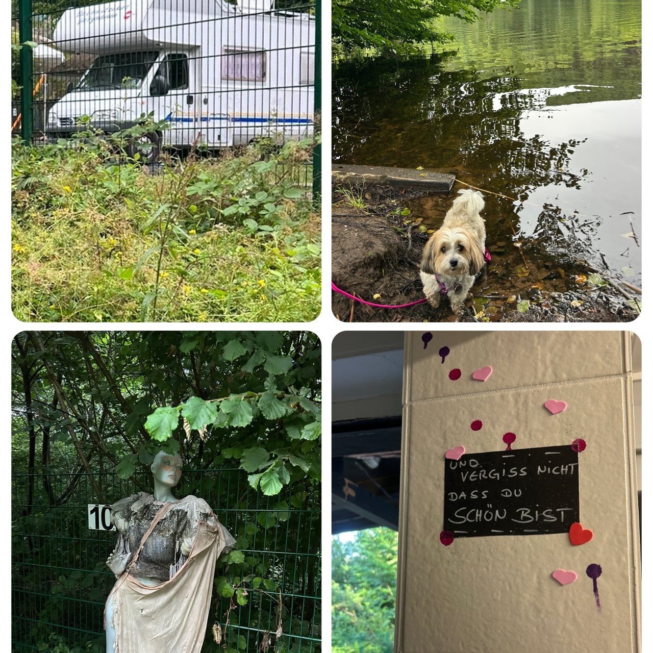 Camping Gelterswoog — Photo 5