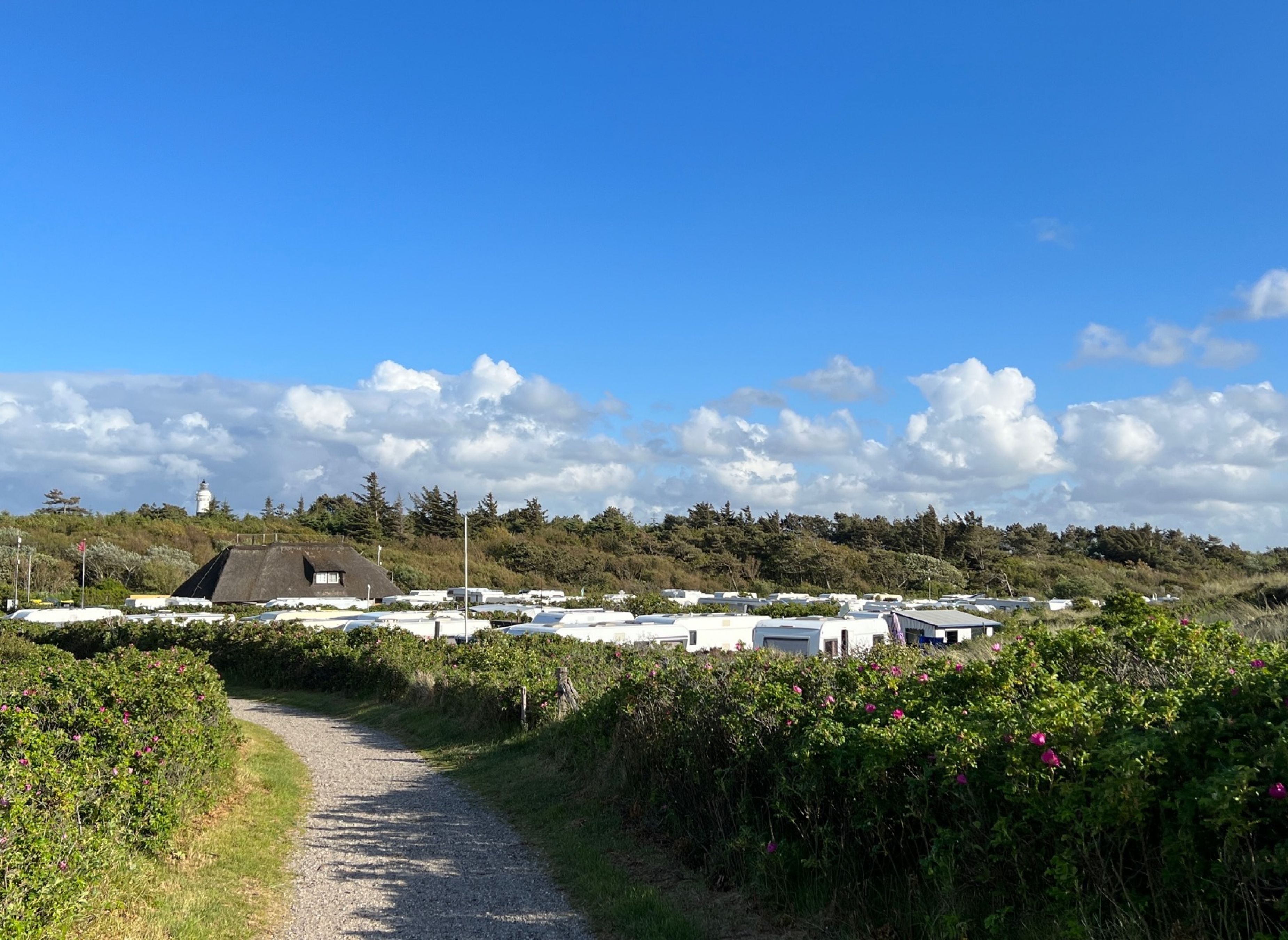 Camping Kampen — Photo 3